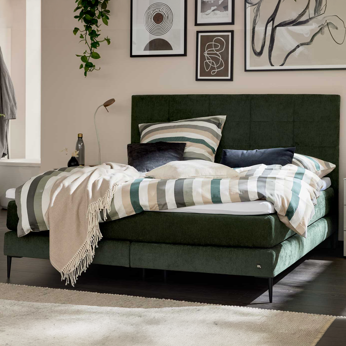 Moosgrünes Interliving Boxspringbett Serie 1425 mit Matratzen.
