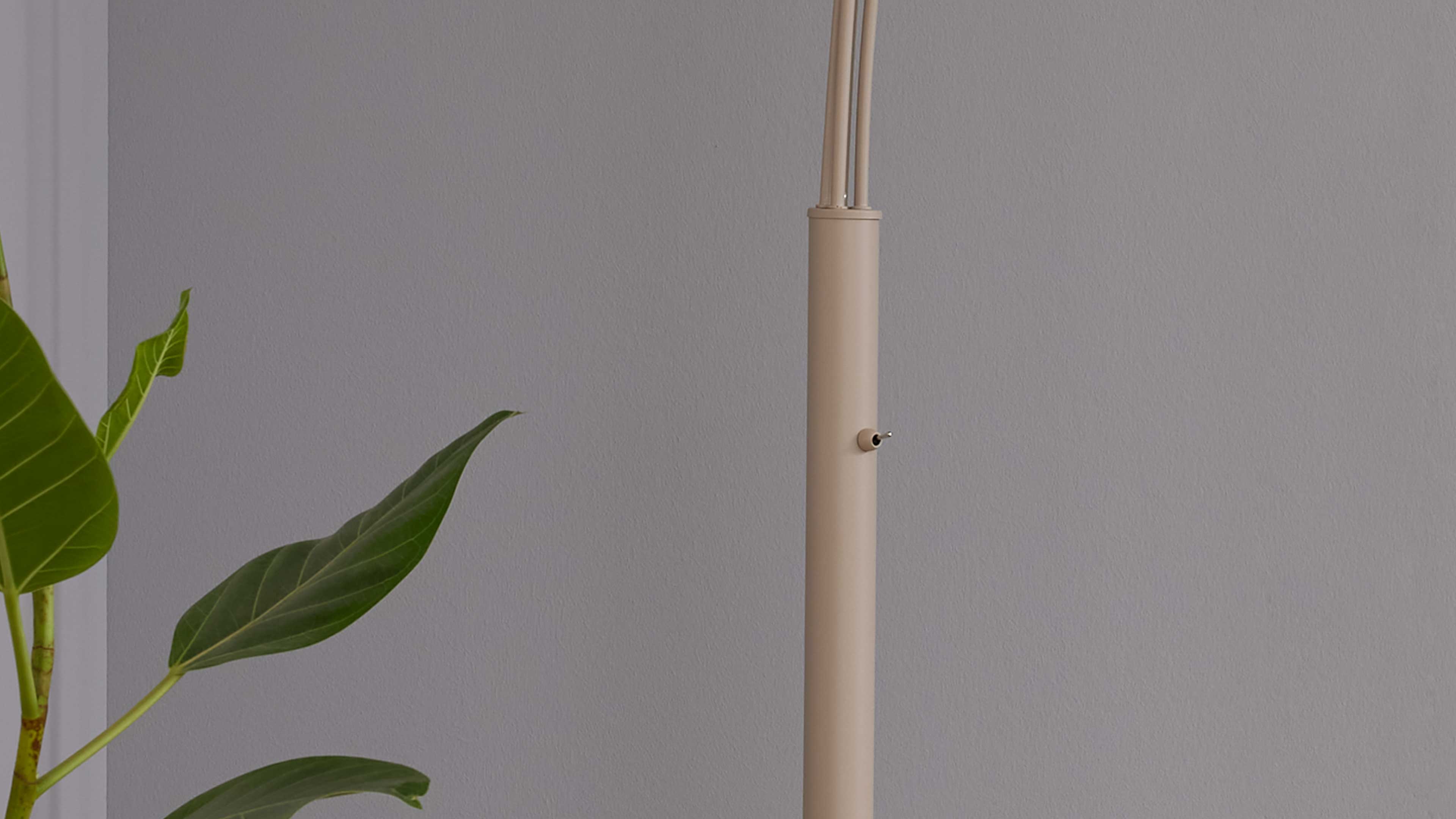 Beiger, schlanker Lampenfuß mit seitlichem Drehknopf vor grauer Wand, links teilweise sichtbare grüne Pflanze.