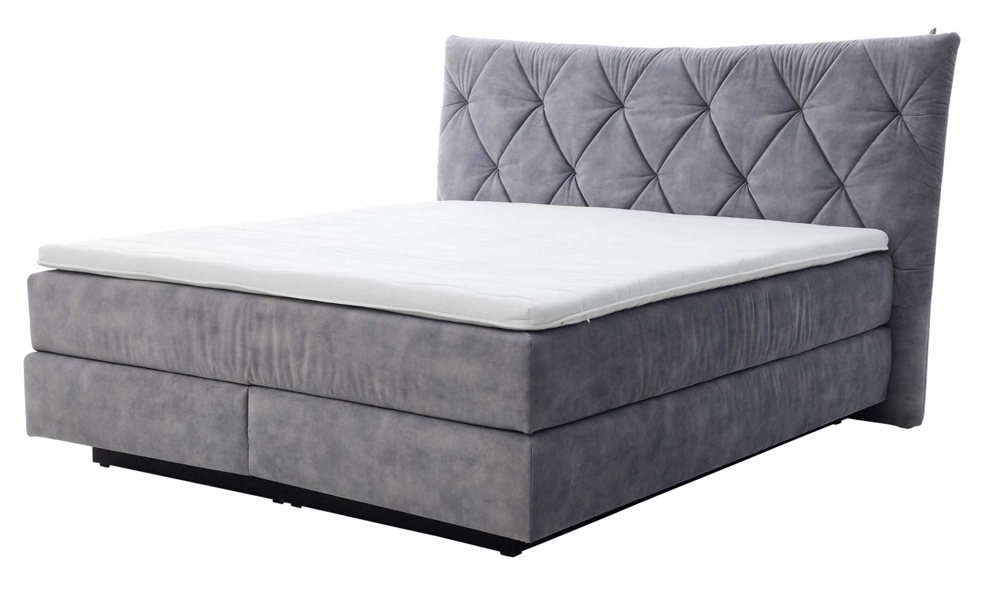 IL1420 Auri silver Boxspringbett Freisteller