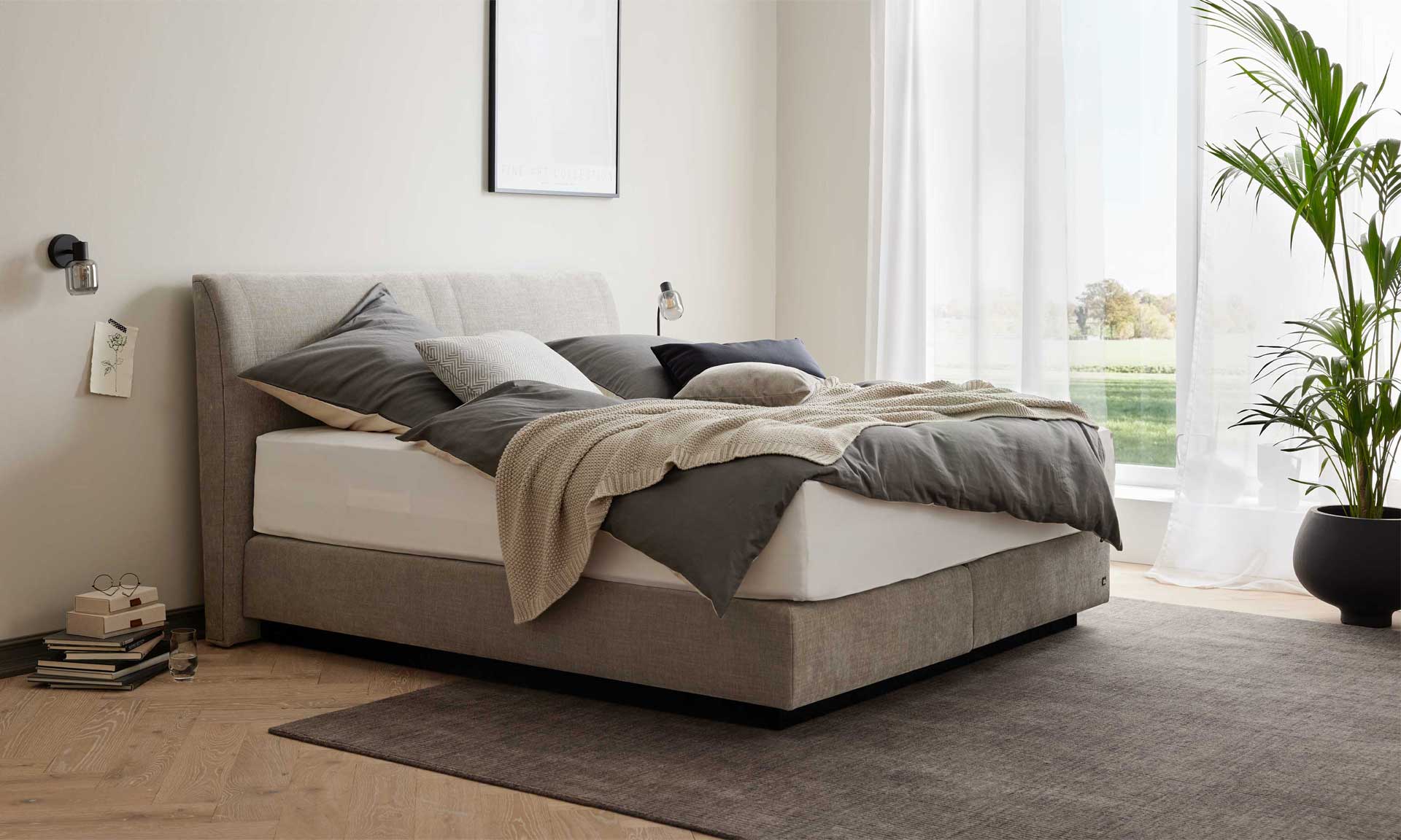 IL1401 Boxspringbett Rob silver