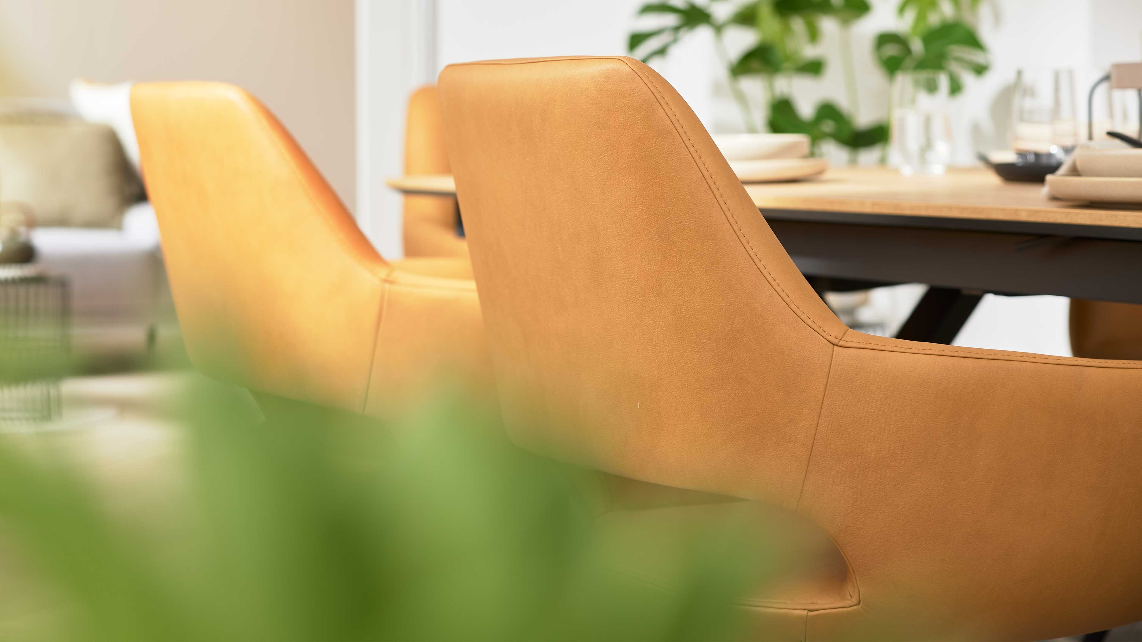 Zwei karamellfarbene, bezogene Stühle in Nahaufnahme am Esstisch, im Vordergrund verschwommene grüne Pflanze.