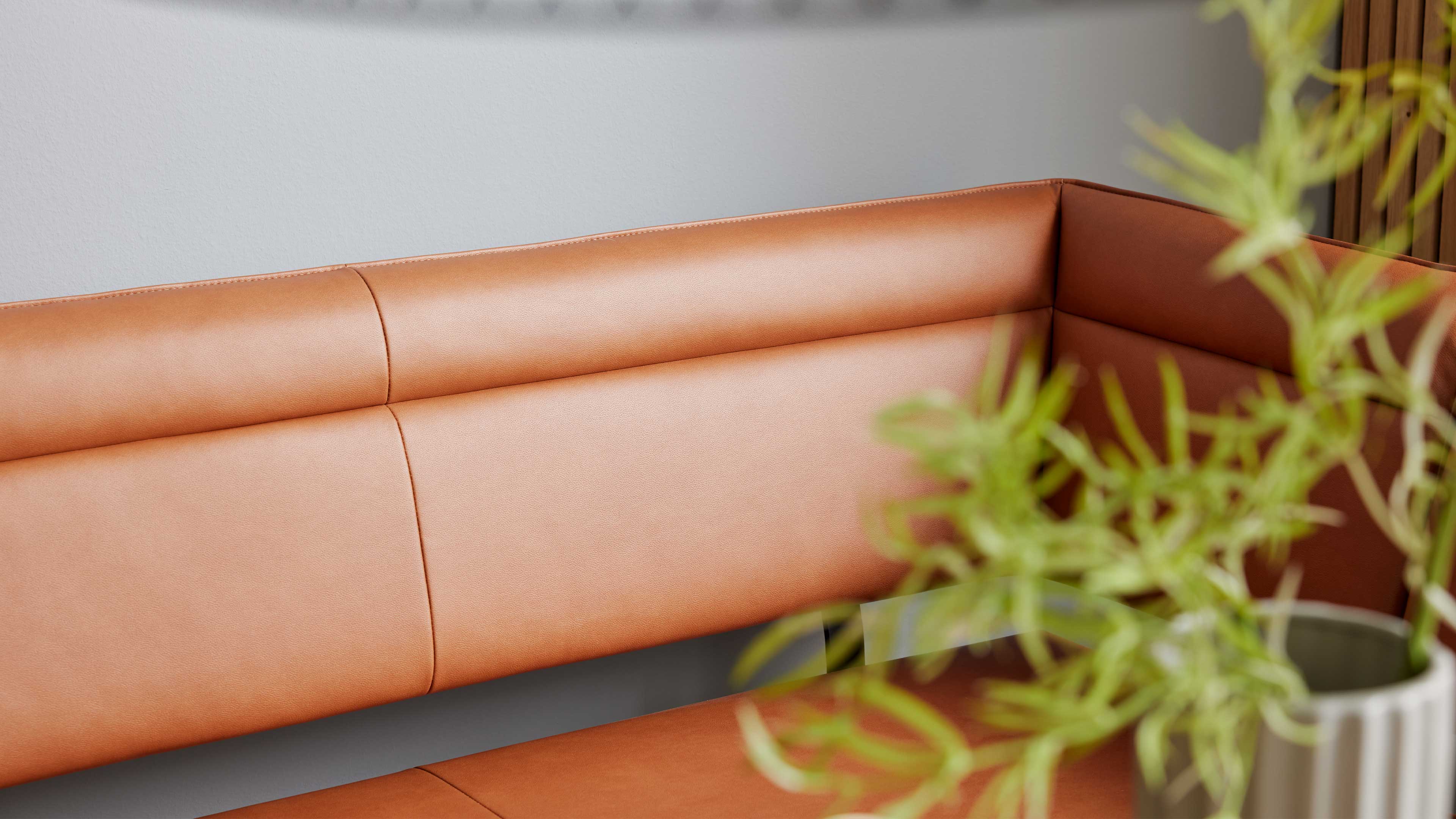 Eckige Sitzbank mit cognacfarbenem Lederbezug und horizontalen Ziernähten, im Vordergrund rechts unscharfe grüne Topfpflanze.