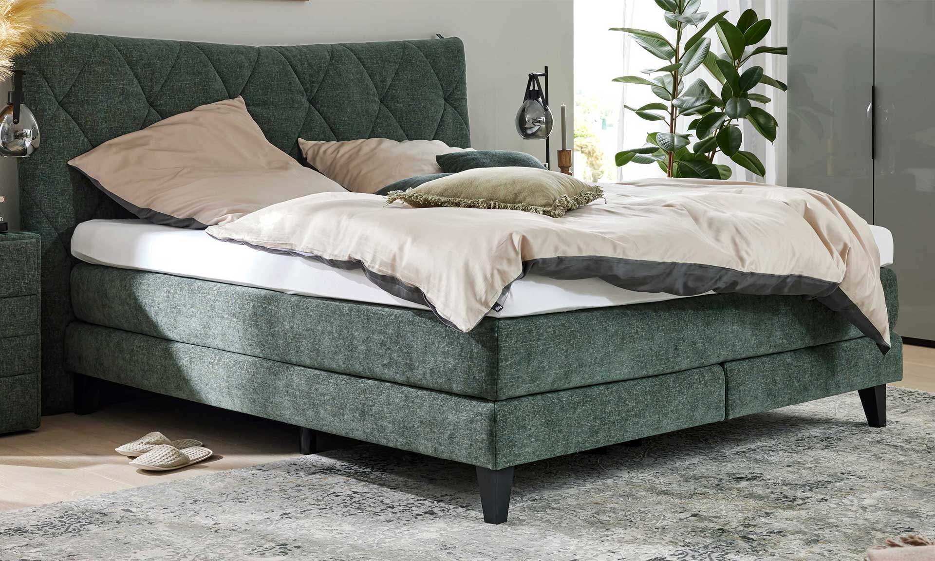 IL1420 Toni moos Boxspringbett Perspektive