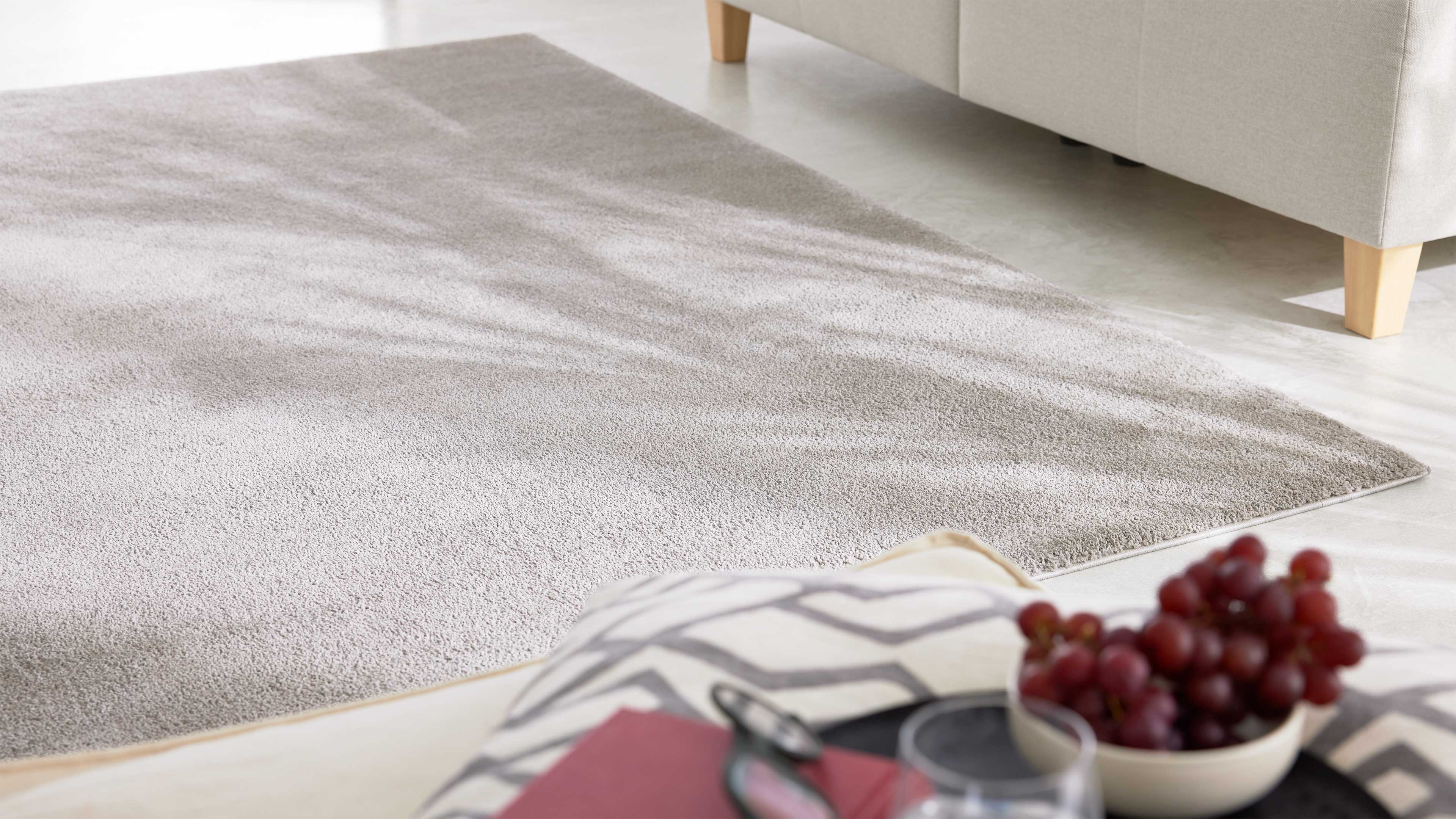 Großflächiger hellgrauer Teppich, rechts eine helle Sofa-Ecke mit Holzfüßen, vorne Kissen und Schale mit roten Trauben.