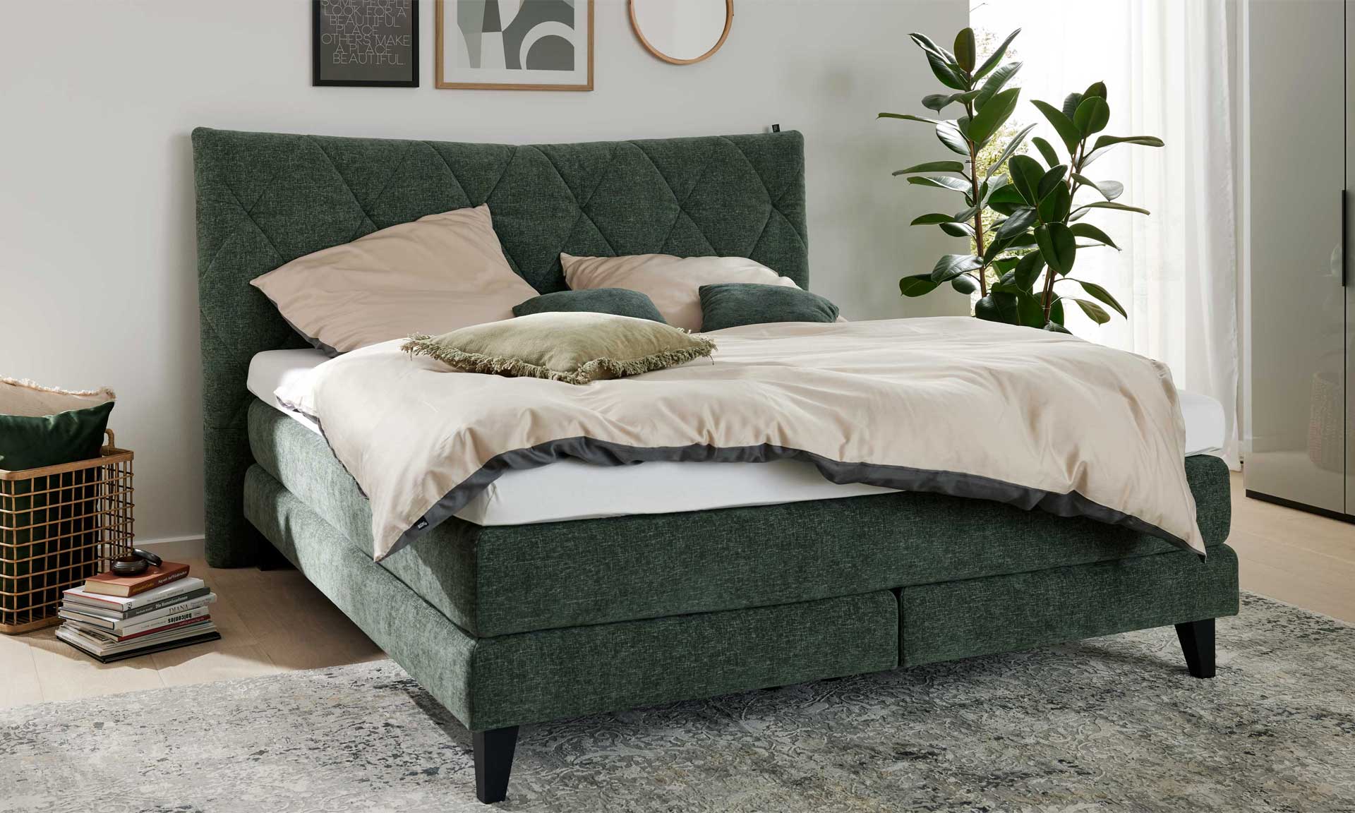 IL1420 Toni moos Boxspringbett