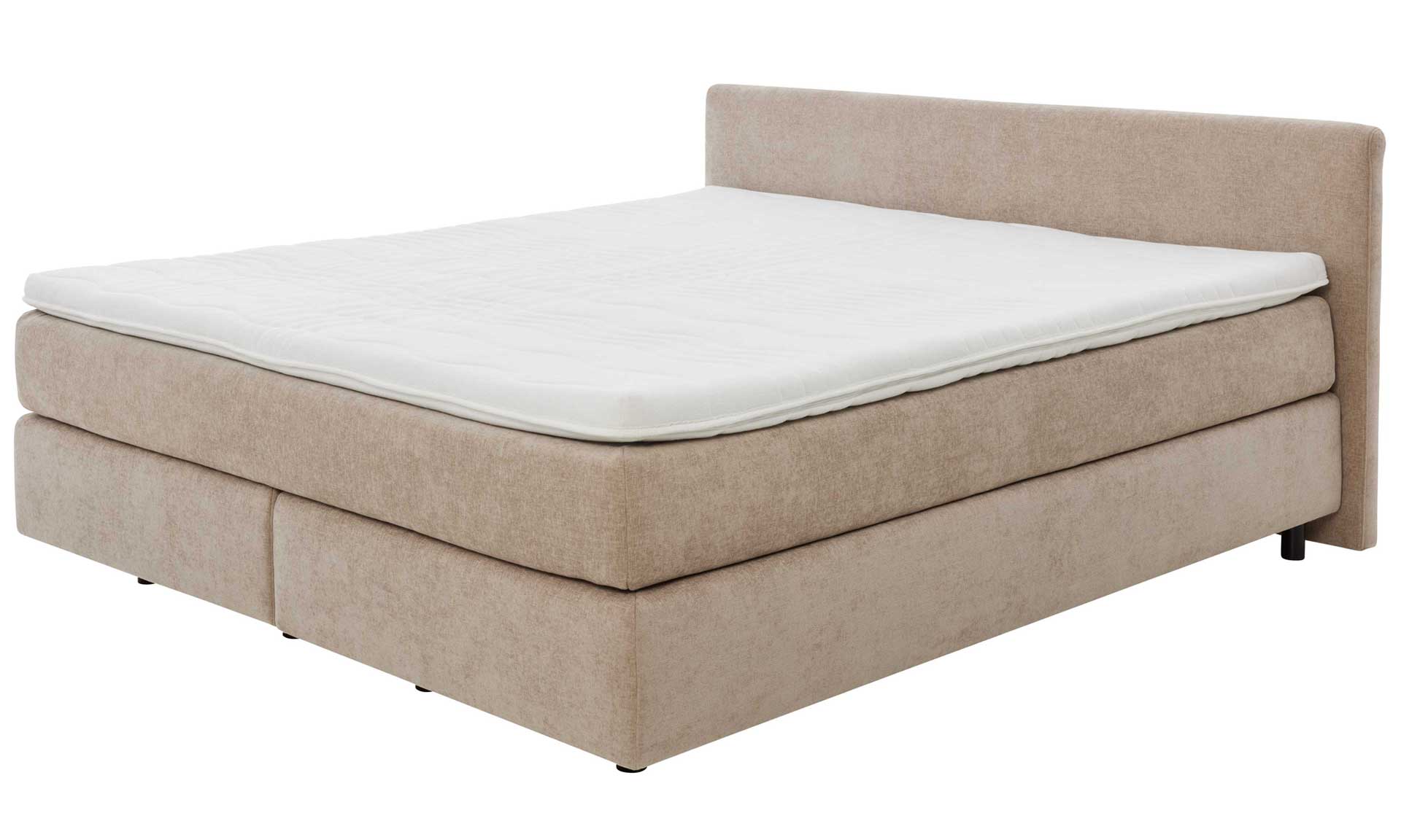 IL1420 Toni beige Boxspringbett Freisteller