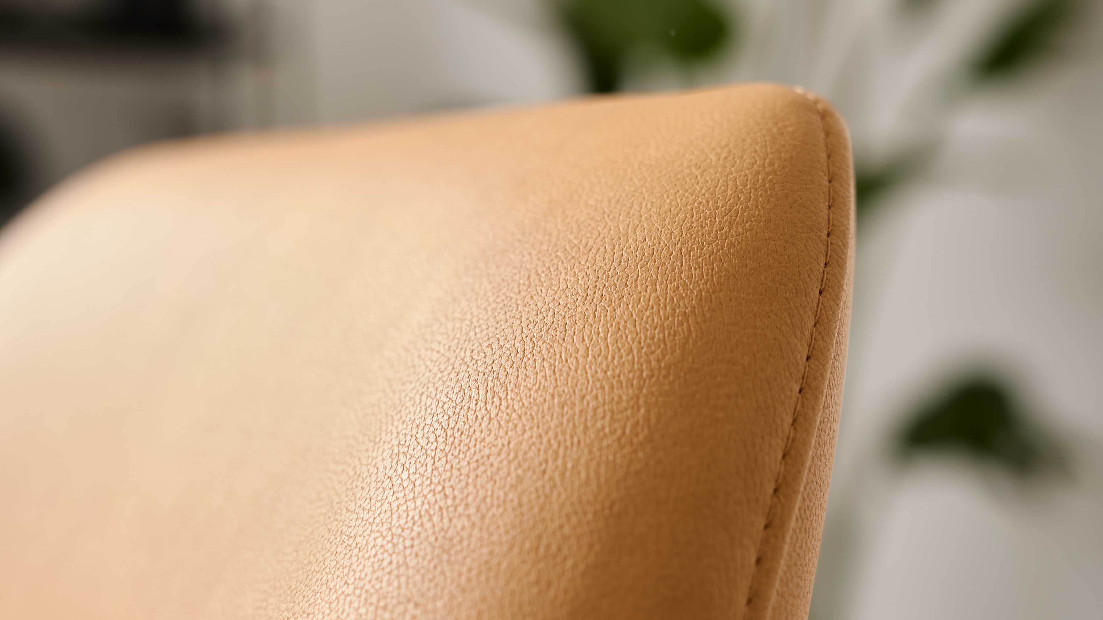 Nahaufnahme der Rückenlehne eines cognacfarbenen Lederstuhls mit sichtbarer Naht und feiner Narbung, unscharfer Pflanzenhintergrund.