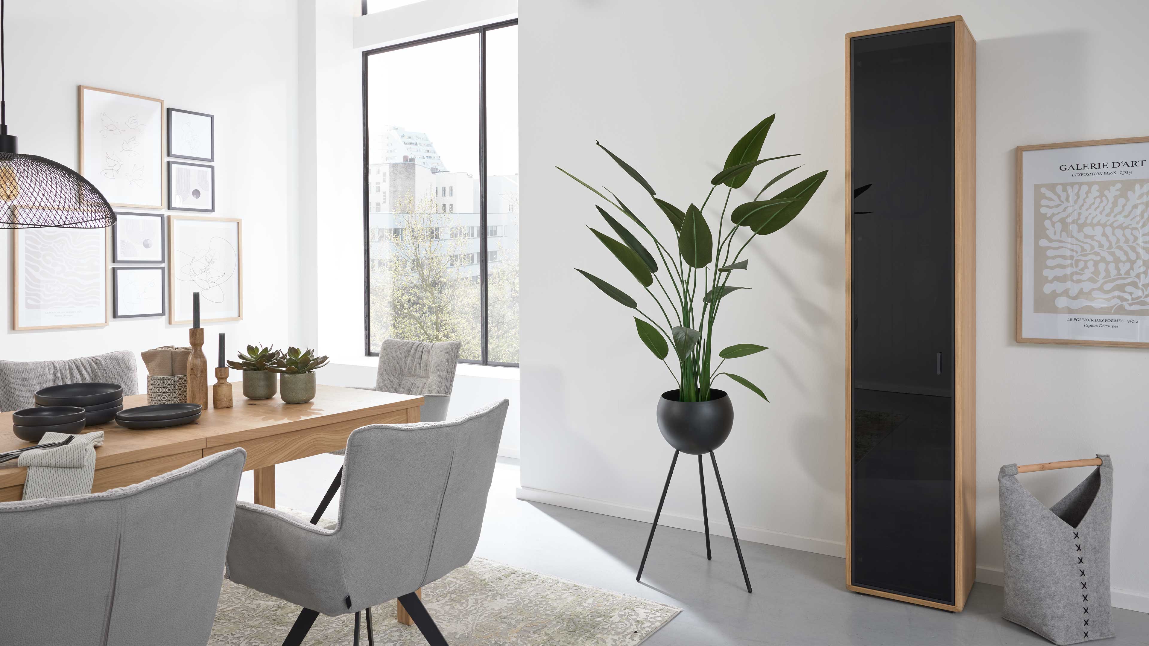 Hohe Vitrine mit Schwarzglasfront und Eichefurnier