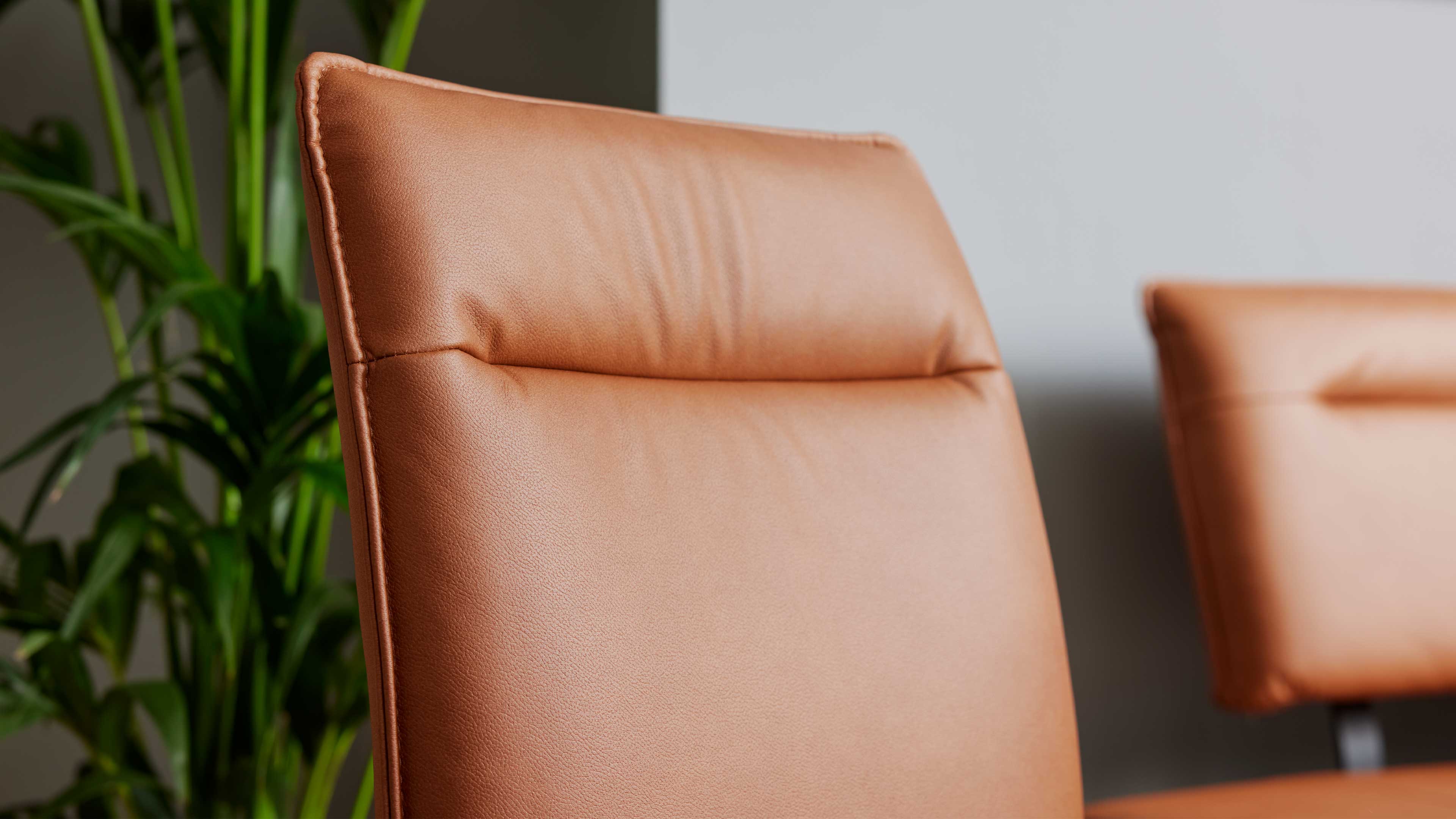 Rückenlehne eines cognacfarbenen Lederstuhls mit sichtbarer Naht und Polsterung, links grüne Zimmerpflanze, rechts unscharfe zweite Lehne.